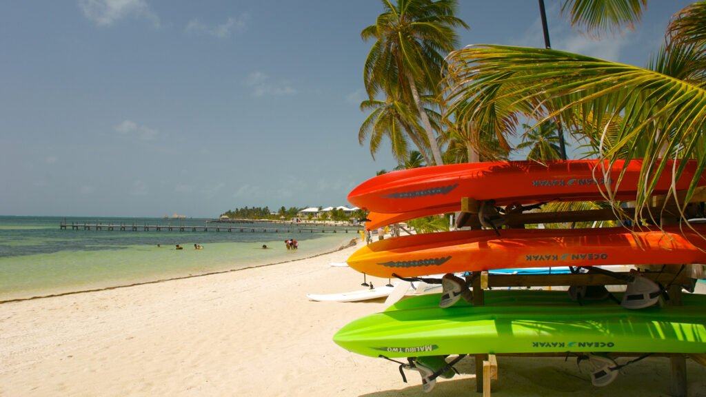 Stand Up Paddle on beach