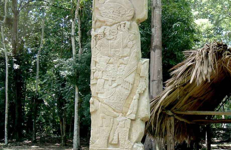 A beautifully carved stela at Dos Pilas, with intricate Mayan glyphs and figures, standing as a testament to the rich history of this ancient Guatemalan site.