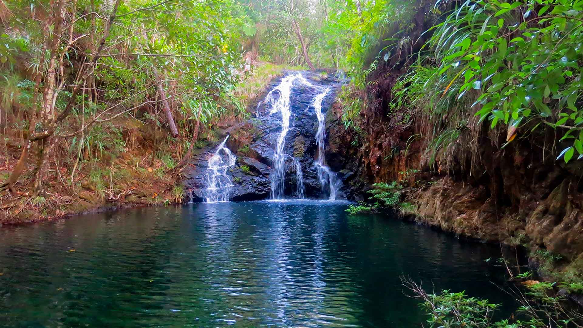 Majestic waterfall cascading gracefully down rocky cliffs, surrounded by the lush, vibrant greenery of the Belizean rainforest, embodying serene natural beauty.