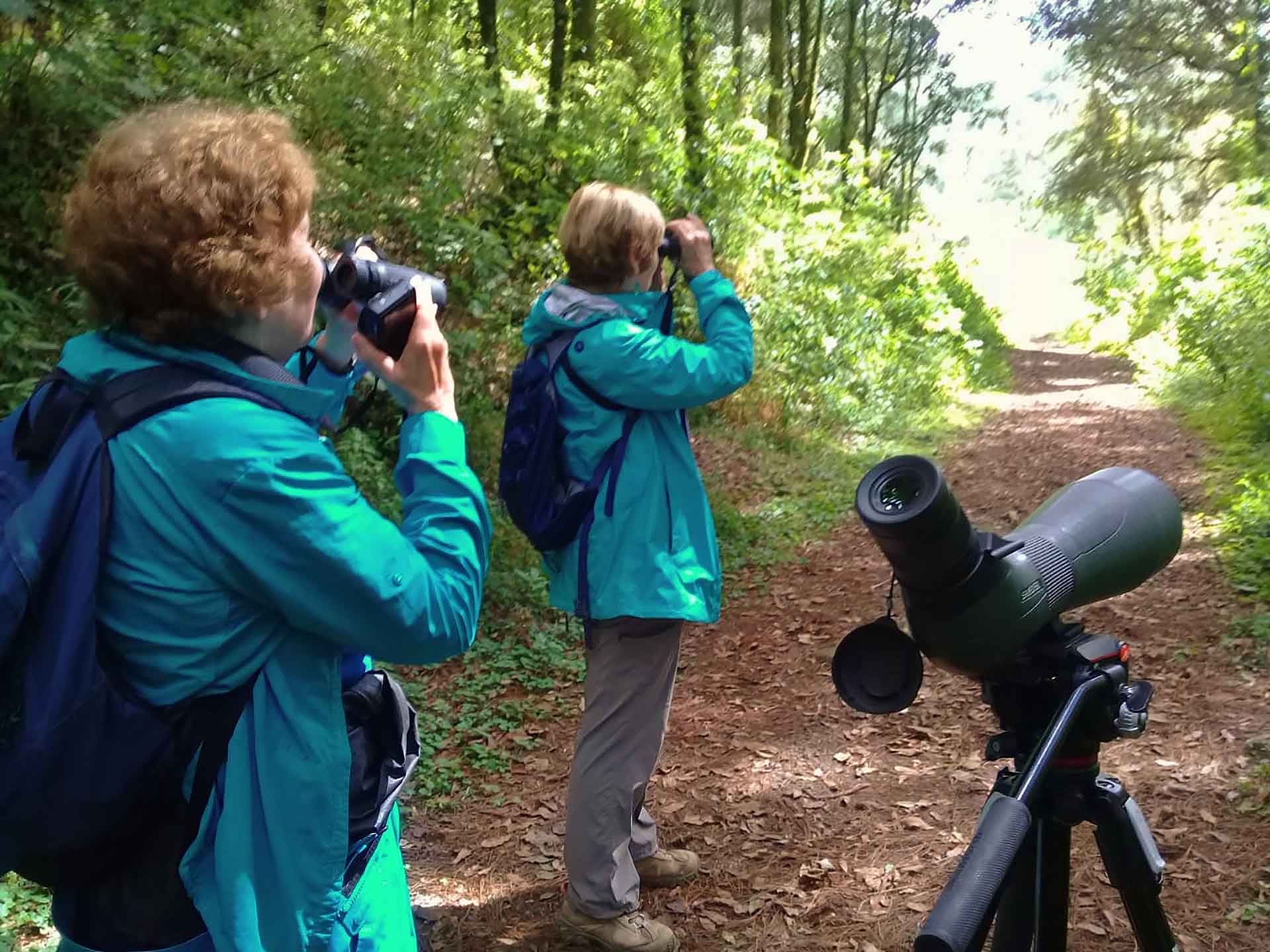 A couple of ladies observing neotropical birds during a birding walk at Los Tarrales Reserve, Guatemala.